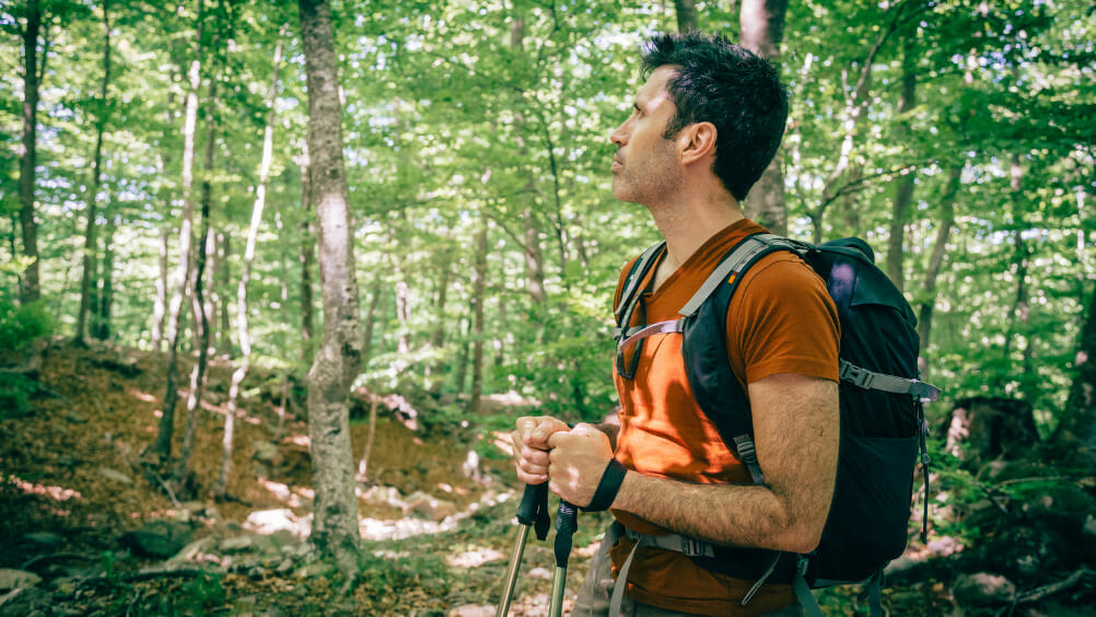 Ecoturismo no Brasil destinos incriveis para os amantes da natureza 2