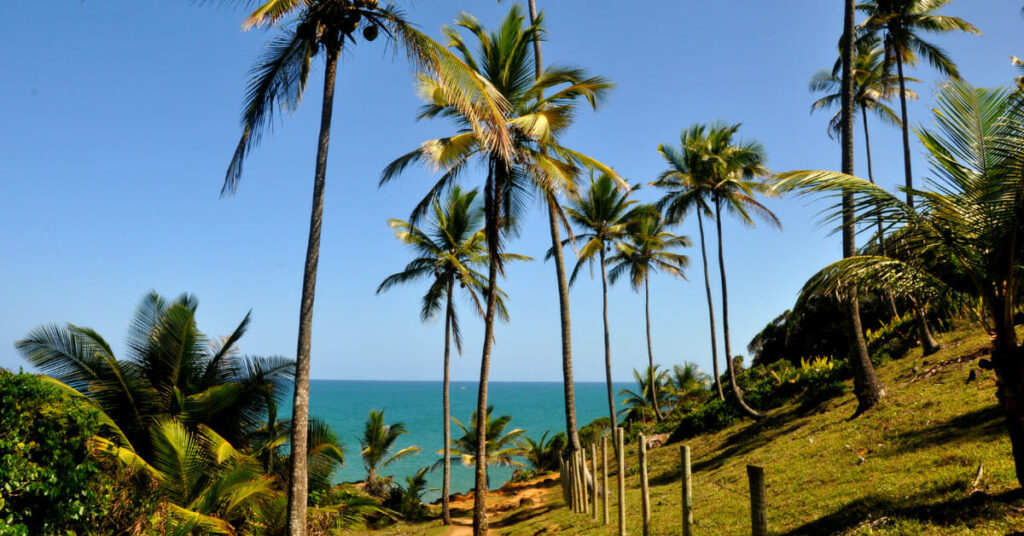 Itacare Bahia Um Paraiso Brasileiro