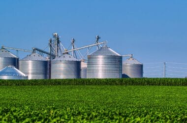 Solução ou Armadilha? Governo Propõe Taxar o Agronegócio Para Reduzir os Preços dos Alimentos